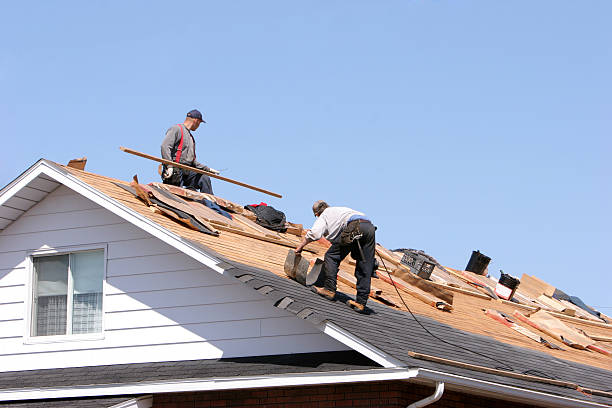 Best Skylight Installation and Repair  in Winthrop Harbor, IL